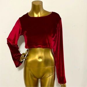 Elegant Red Velvet Crop Top